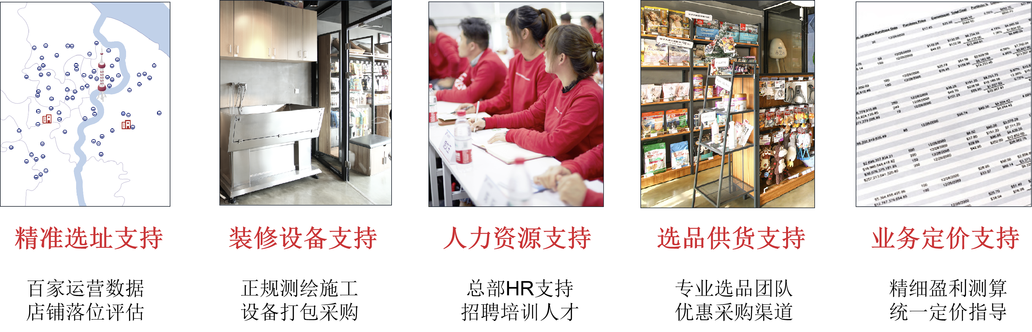 宠物连锁品牌店