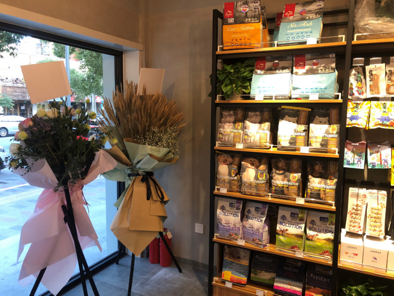 宠物店如何获取更多的流量