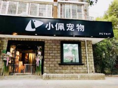 传统宠物店的痛点，如何破解宠物店经营难题？