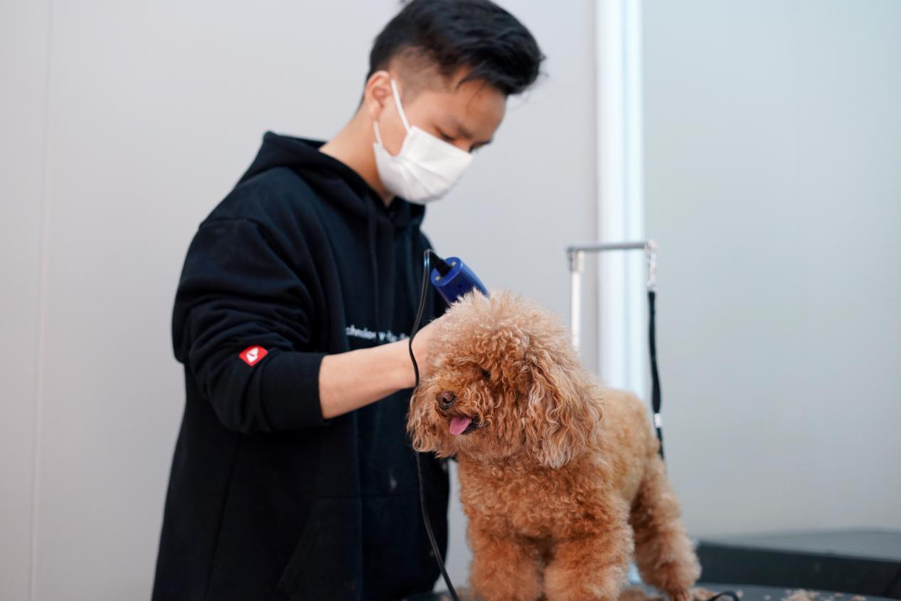 小佩宠物成都丽都首府店