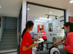 在深圳做什么赚钱？在深圳开宠物店怎么样？