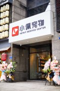 国内宠物市场发展都有哪些挑战和机遇？